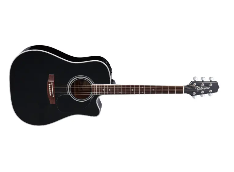 Takamine EF341SC DREAD-BLK-A/E 